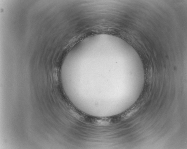 X0000058120232200510212028