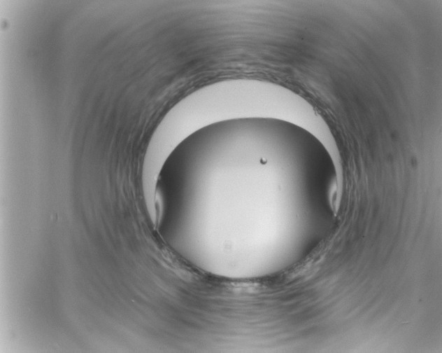 X0000058120233200510212028