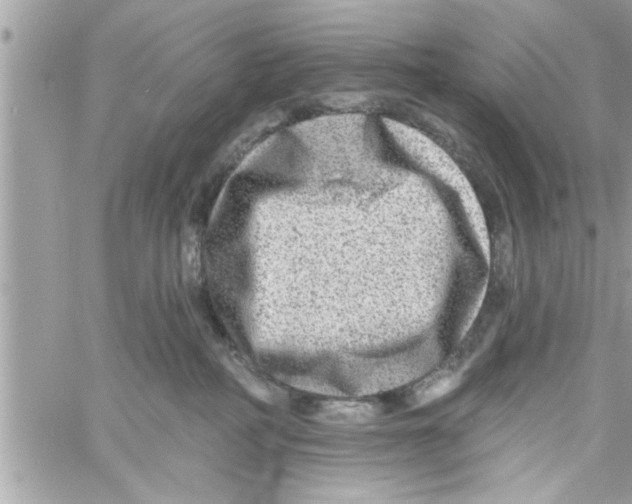 X0000058120234200510212028