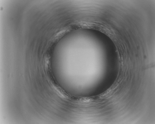 X0000058120235200510212028