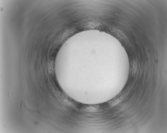 X0000058120236200510212028