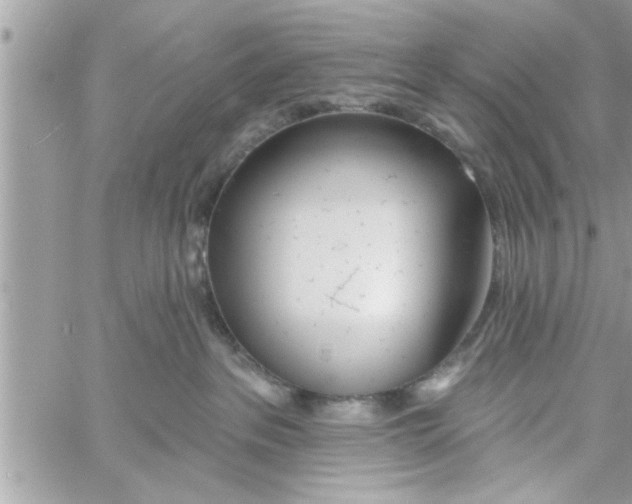 X0000058120237200510212028