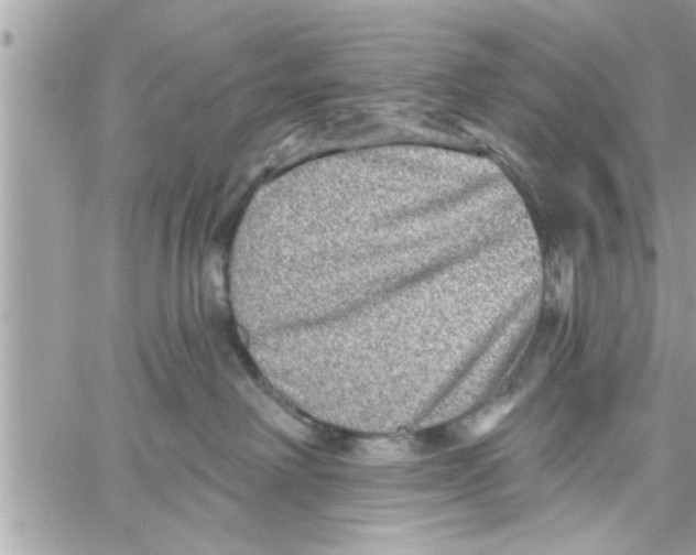 X0000058120238200510212028