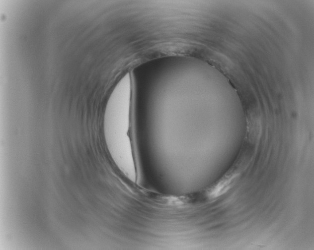 X0000058120239200510212028