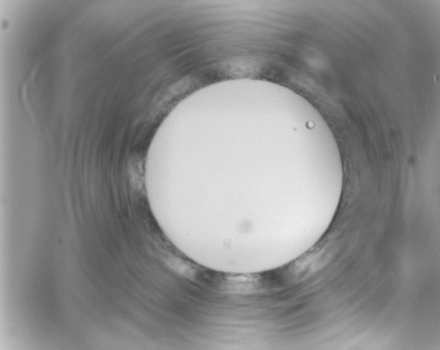 X0000058120240200510212028