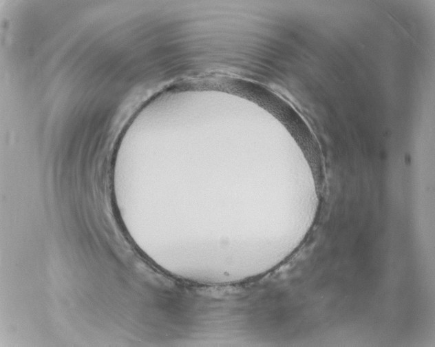 X0000058120241200510212027