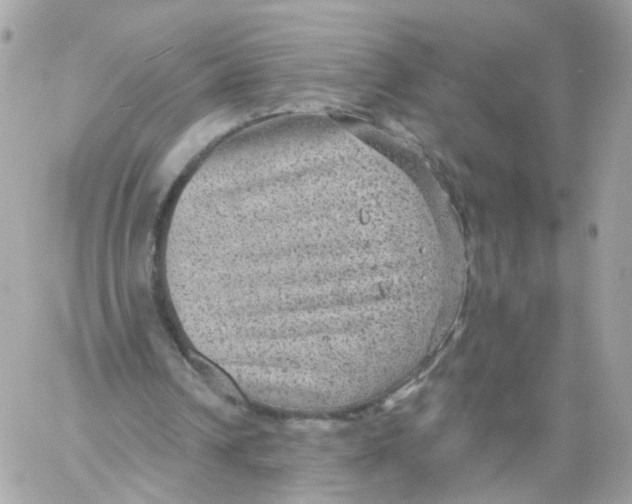 X0000058120242200510212027