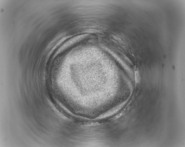 X0000058120243200510212027