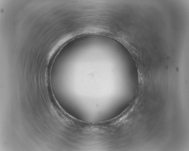 X0000058120244200510212027