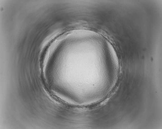 X0000058120245200510212027