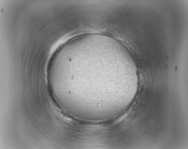 X0000058120246200510212027