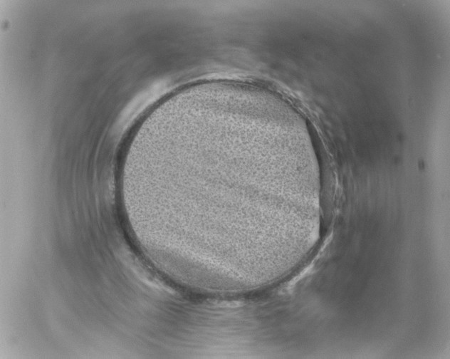 X0000058120247200510212027