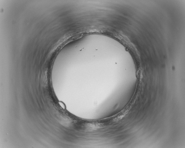 X0000058120250200510212028