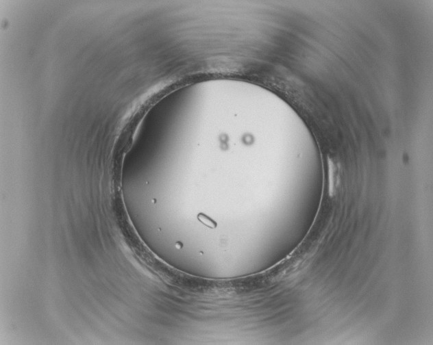 X0000058120252200510212028