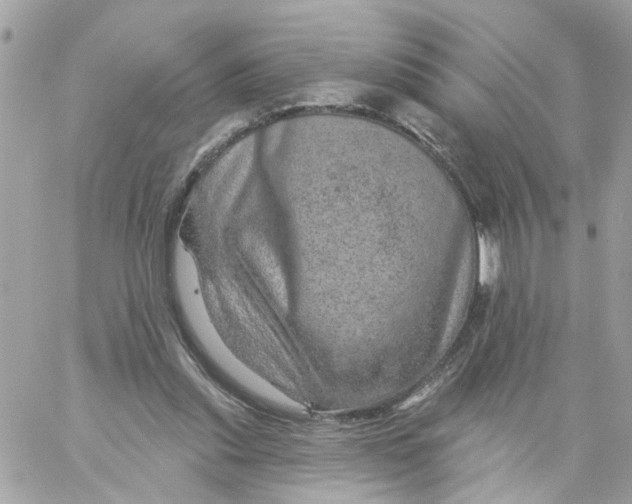 X0000058120253200510212028