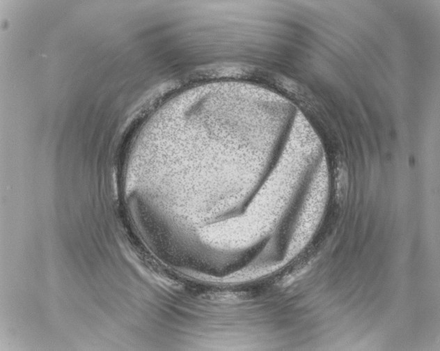 X0000058120254200510212028