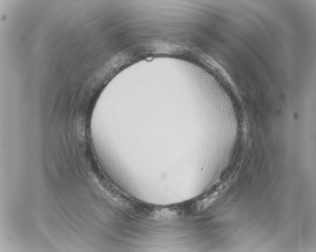 X0000058120257200510212028