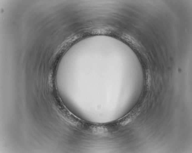 X0000058120258200510212028