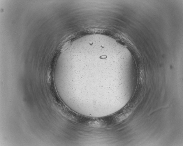 X0000058120259200510212028