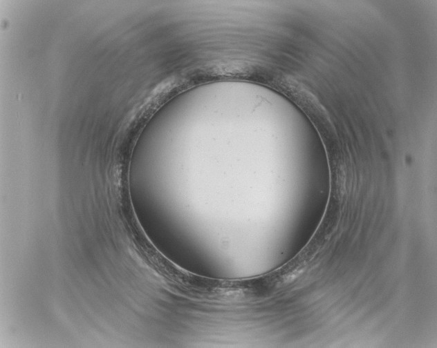 X0000058120260200510212028