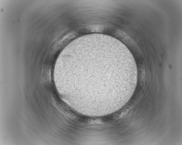 X0000058120262200510212028