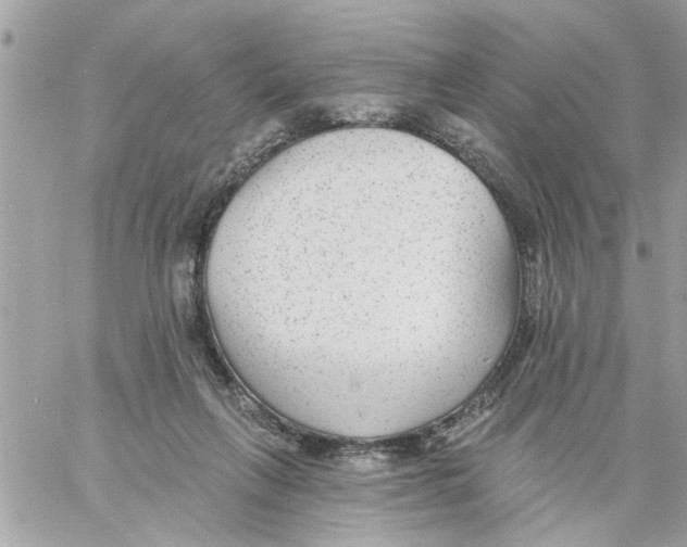 X0000058120263200510212028