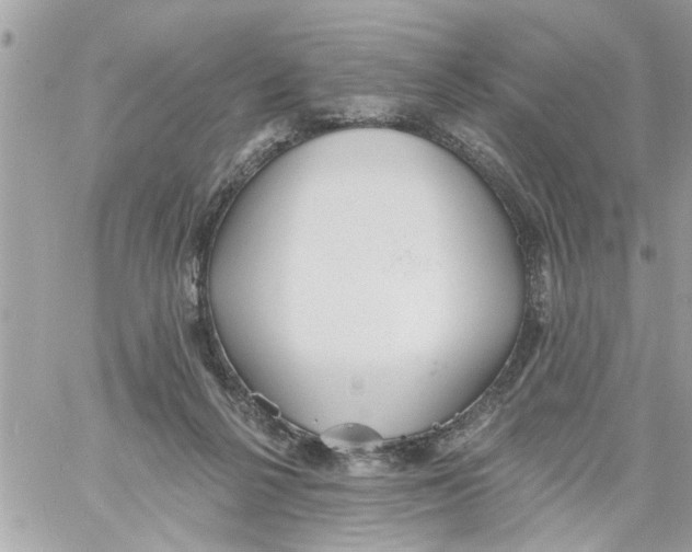 X0000058120264200510212028