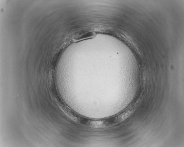 X0000058120265200510212028