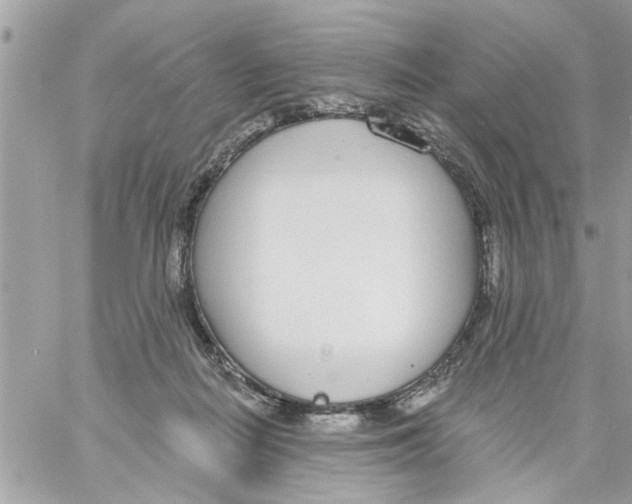 X0000058120266200510212028