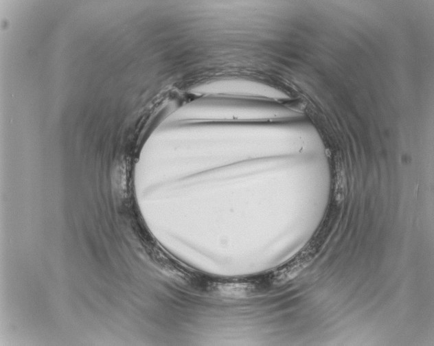 X0000058120268200510212028