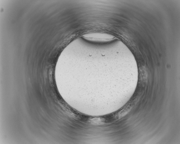 X0000058120269200510212028