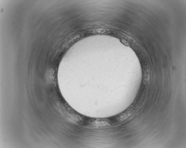 X0000058120270200510212028