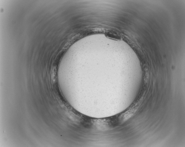 X0000058120273200510212028