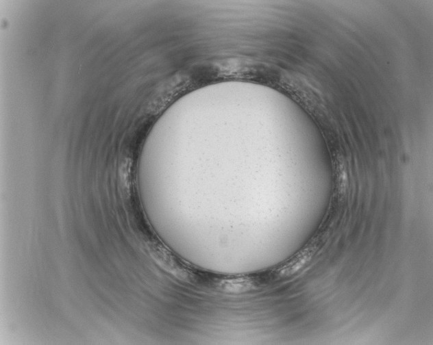 X0000058120275200510212028