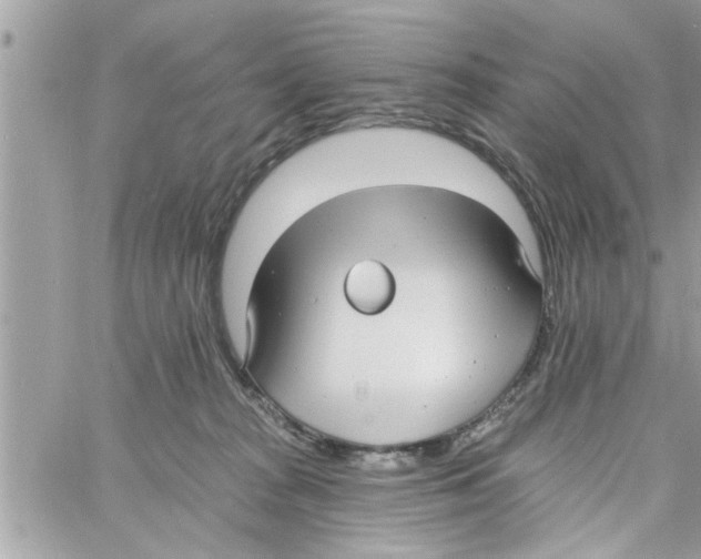 X0000058120277200510212028