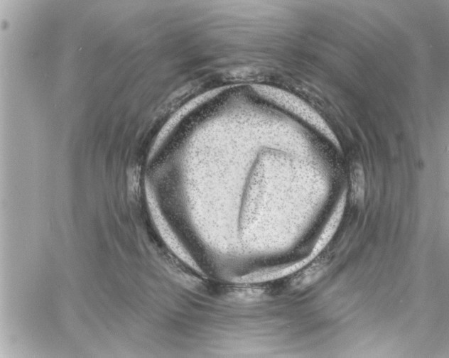 X0000058120278200510212028