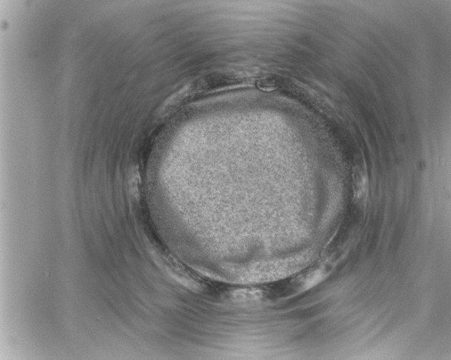 X0000058120279200510212028