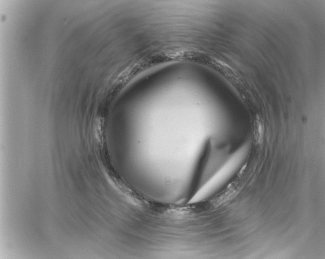 X0000058120280200510212028