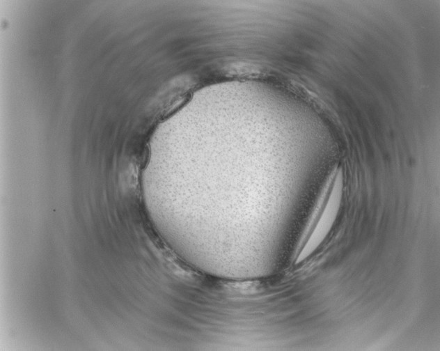 X0000058120281200510212028