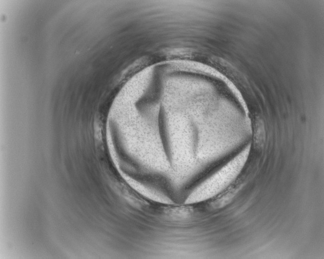 X0000058120282200510212028