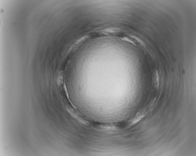 X0000058120284200510212028