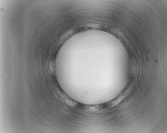 X0000058120285200510212028