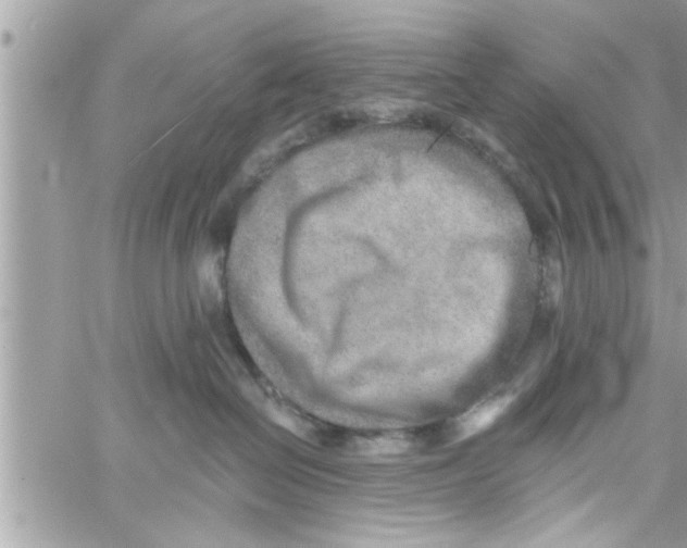 X0000058120286200510212028