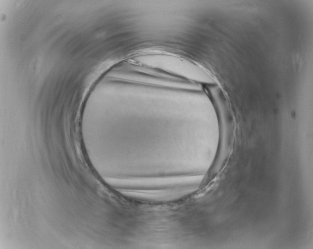 X0000058120289200510212027