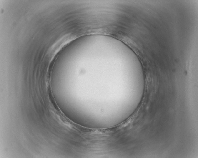 X0000058120290200510212027