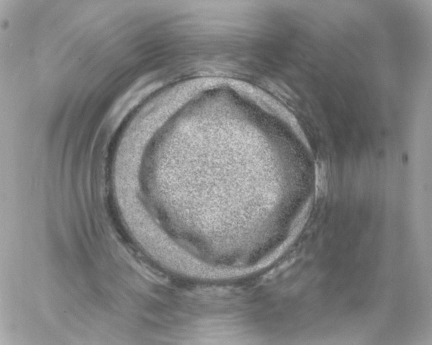 X0000058120291200510212027