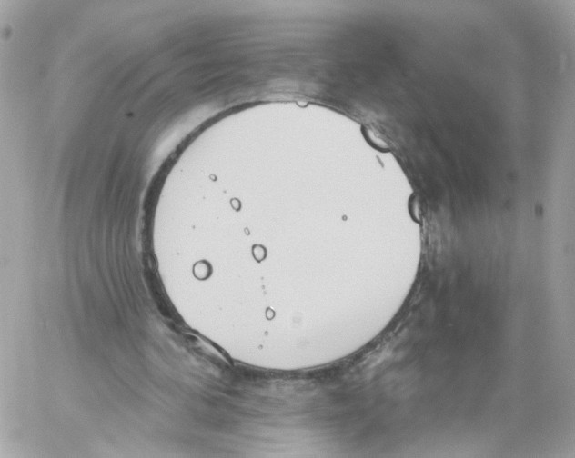 X0000058120292200510212027