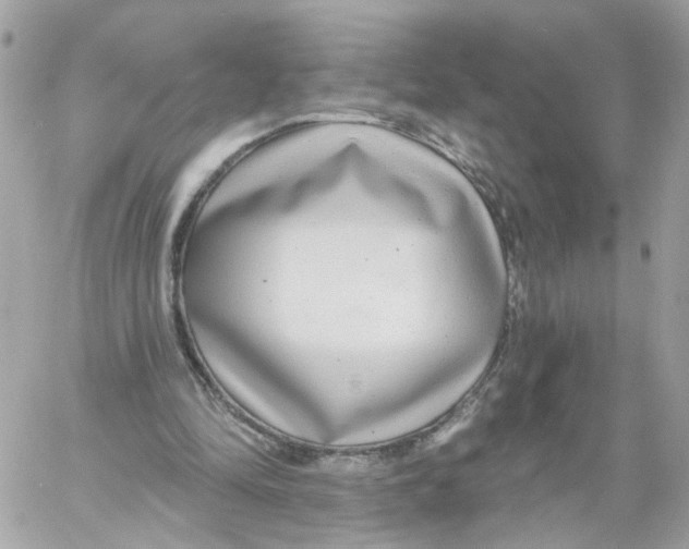 X0000058120294200510212027