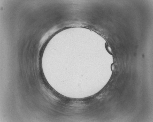 X0000058120296200510212027