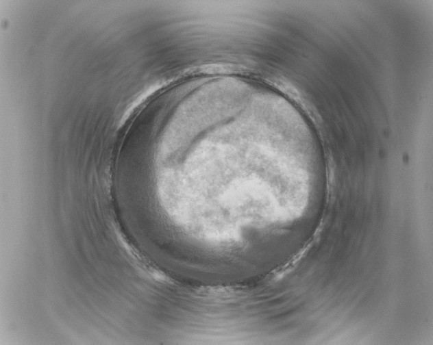 X0000058120297200510212027